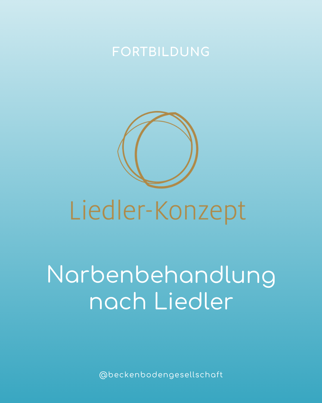  Das Liedler – Konzept:  Lösen von tiefen, postoperativen, faszialen Verklebungen und peritonealen Adhäsionen 