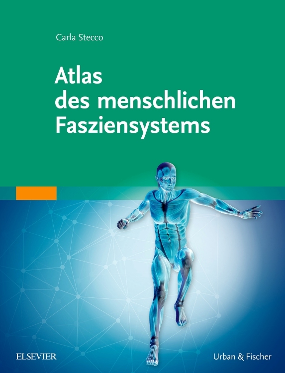 Atlas des menschlichen Fasziensystems *