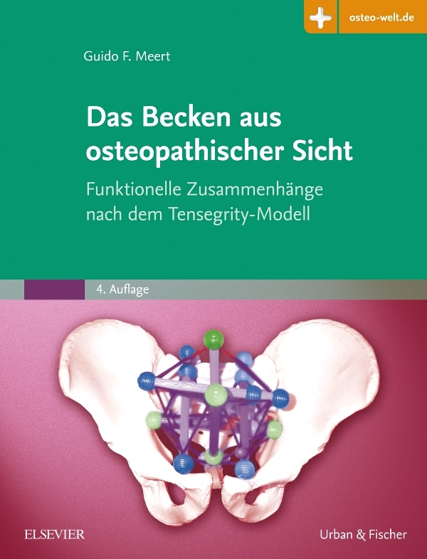 Das Becken aus osteopathischer Sicht *